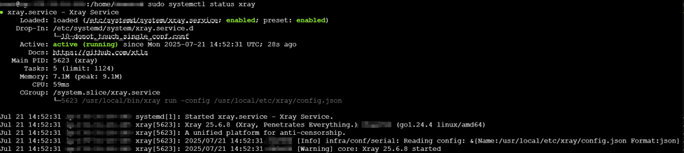 systemctl status xray